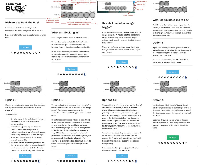 Figure 1—figure supplement 4.