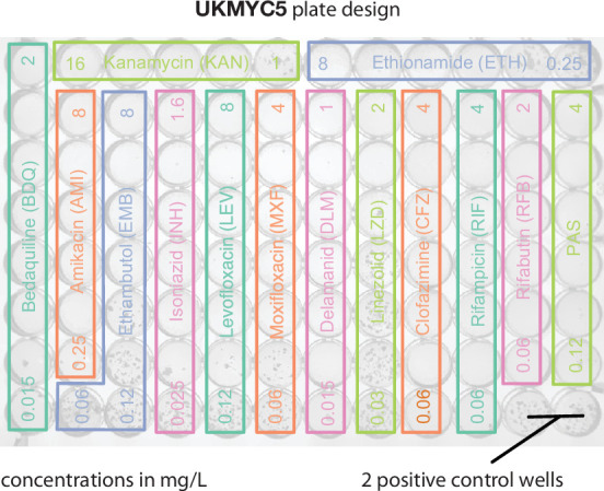 Figure 6—figure supplement 1.