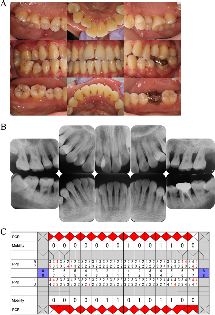 Fig. 7