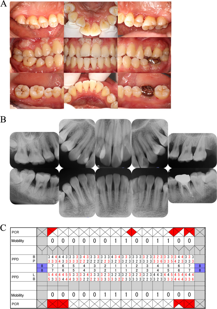 Fig. 5