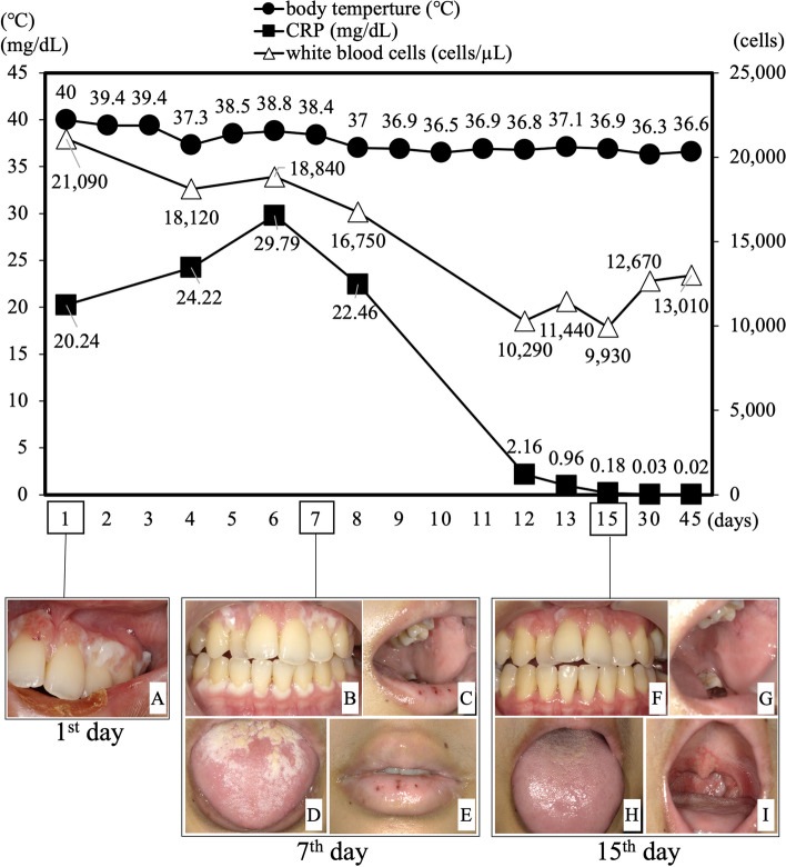 Fig. 6