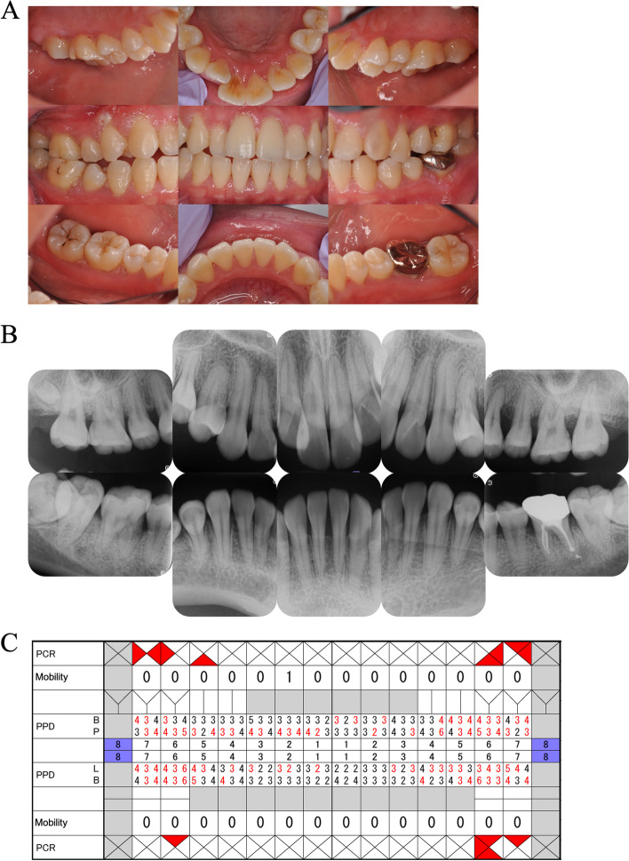 Fig. 2