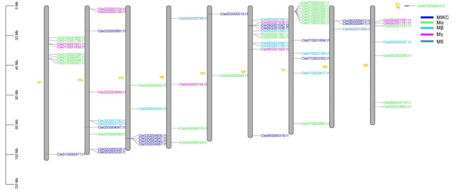 Fig. 6