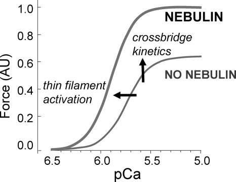 FIGURE 8.