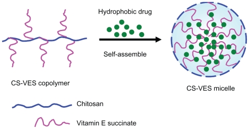 Figure 1B