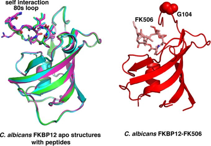 FIG 3 