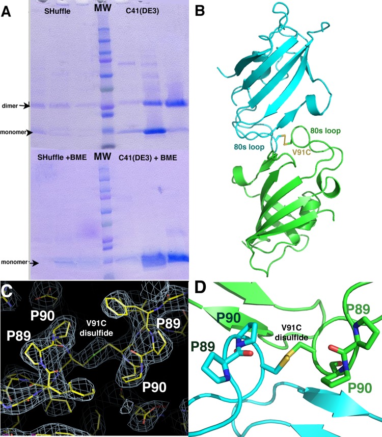 FIG 5 