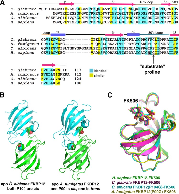 FIG 4 