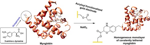 Figure 15