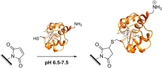 Scheme 3