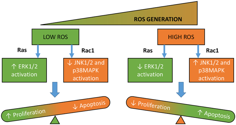 Fig. (2).