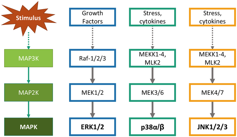 Fig. (1).