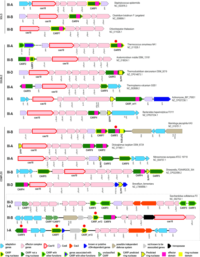 Figure 6.