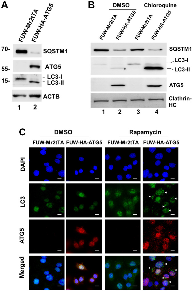 Figure 2.