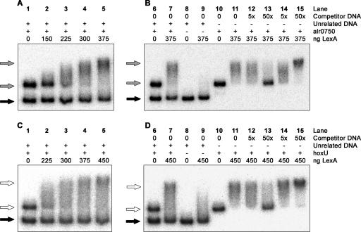 FIG. 5.