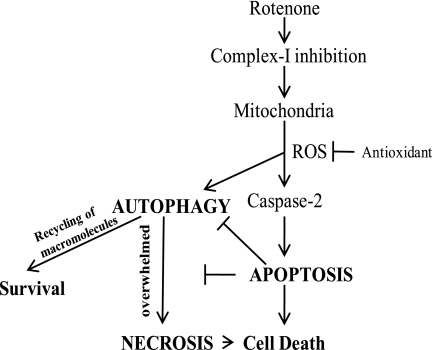 FIGURE 9.