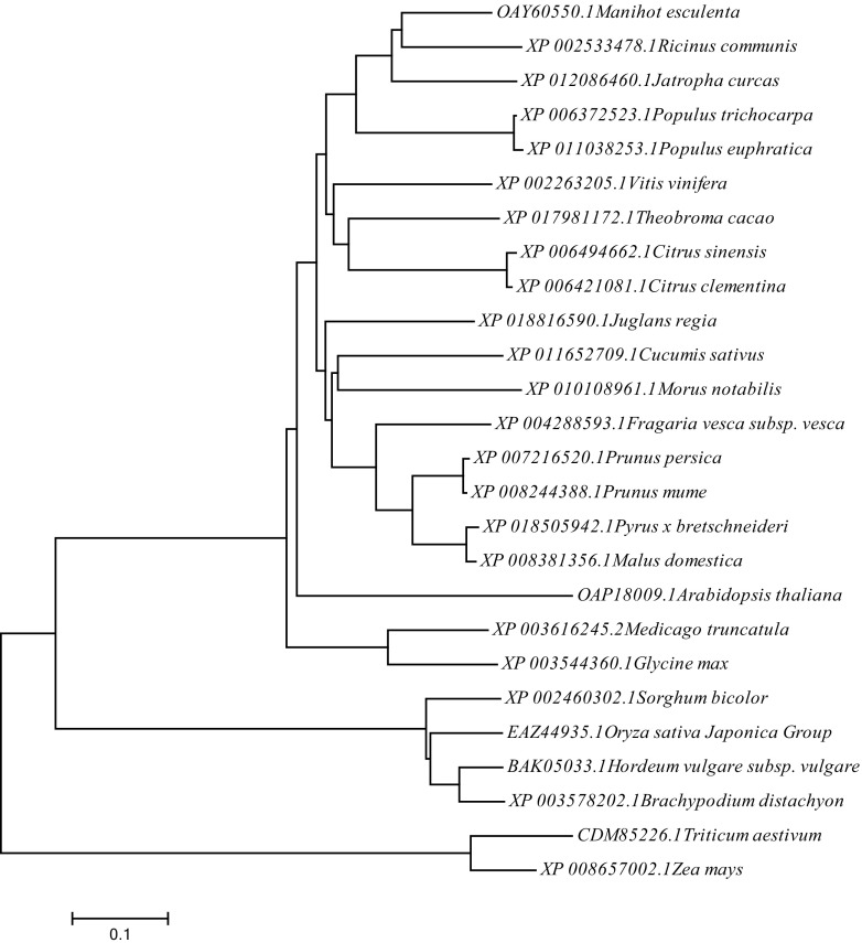 Fig. 6