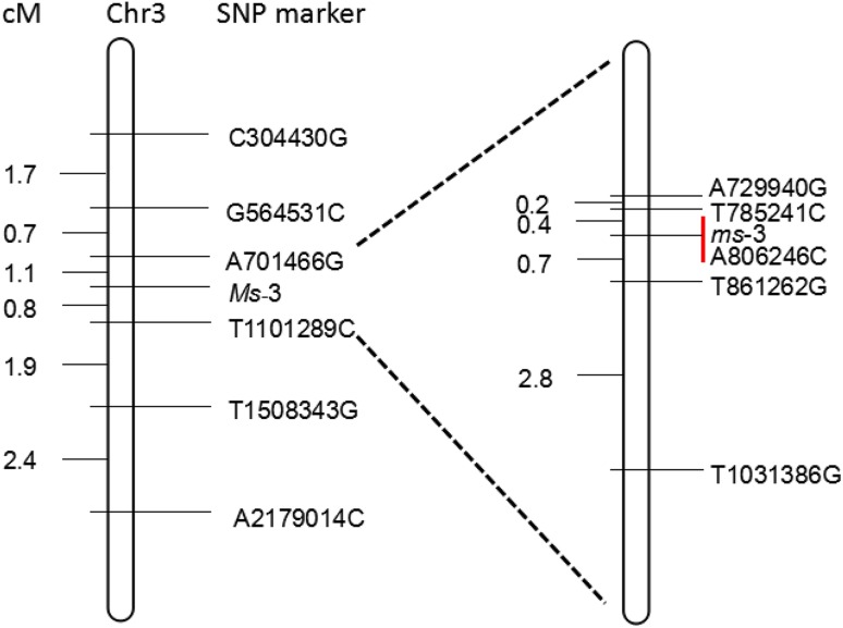 Fig. 4