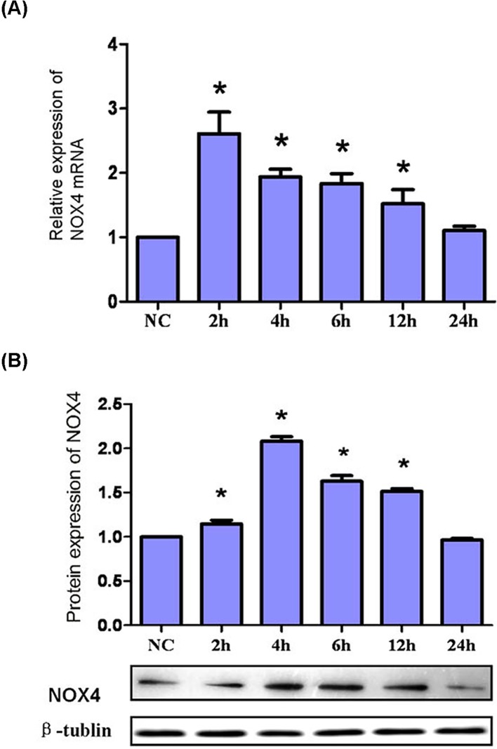 Figure 6