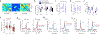 Extended Data Figure 8:
