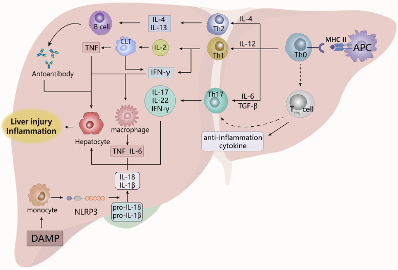 Figure 6