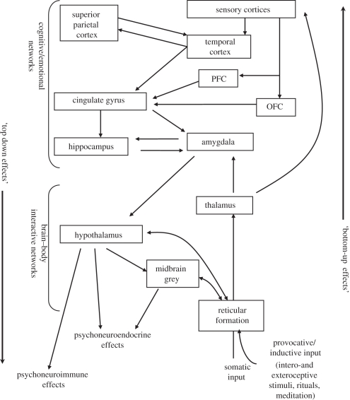 Figure 1.