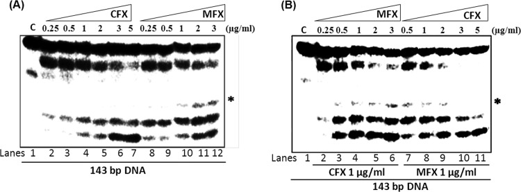 FIG 2