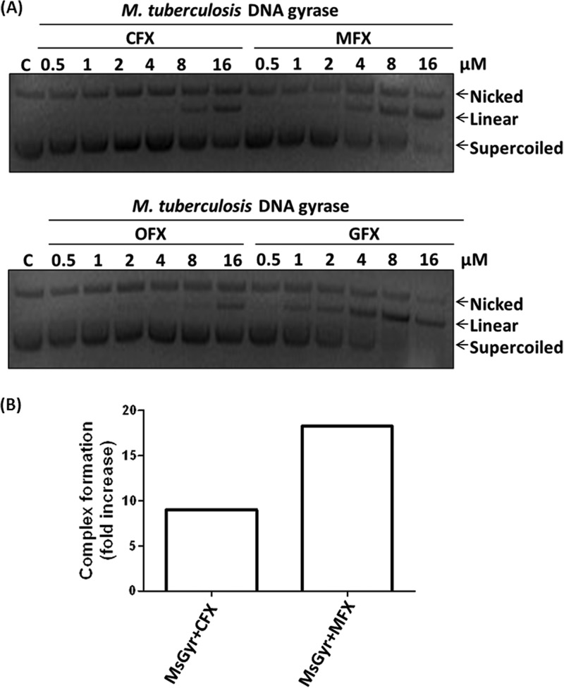 FIG 1