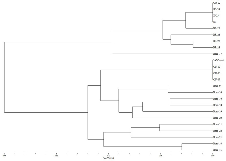 FIGURE 1