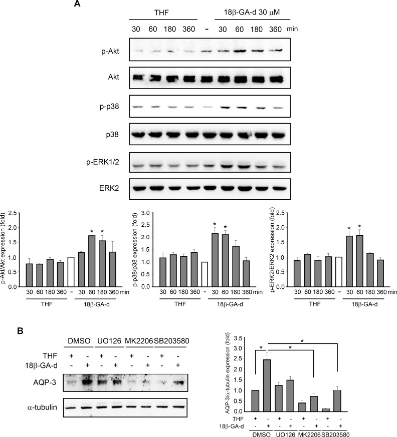 Fig 5