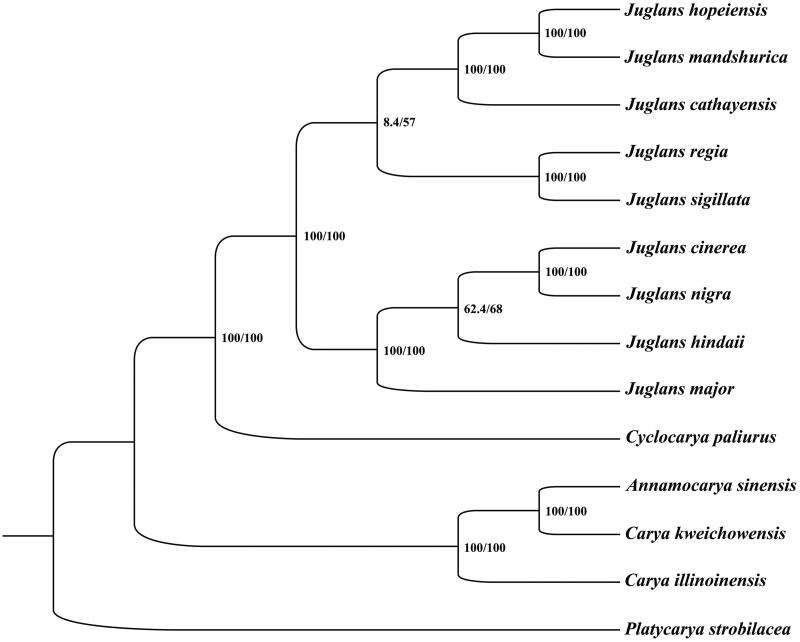 Figure 1.