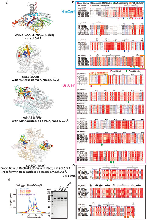 Extended Data Figure 5.