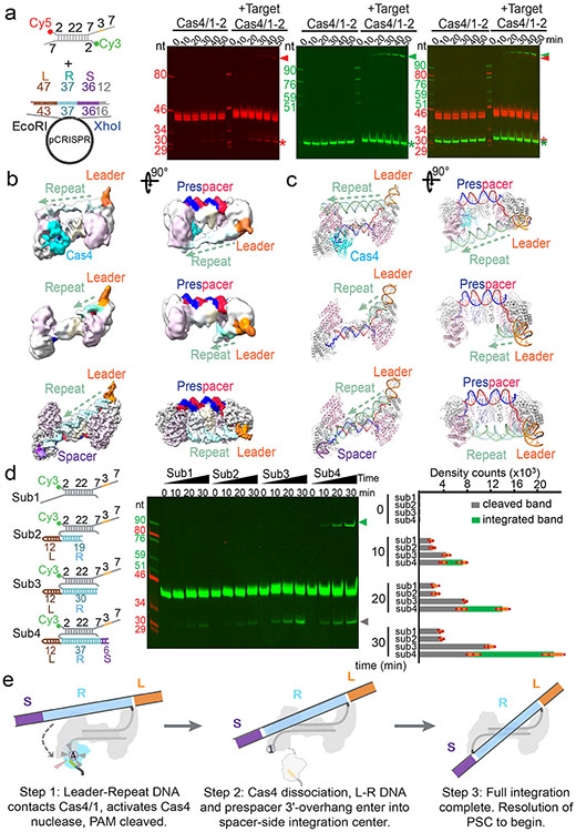 Figure 4.