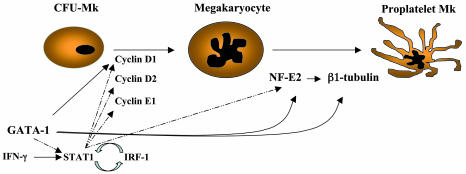 Figure 8