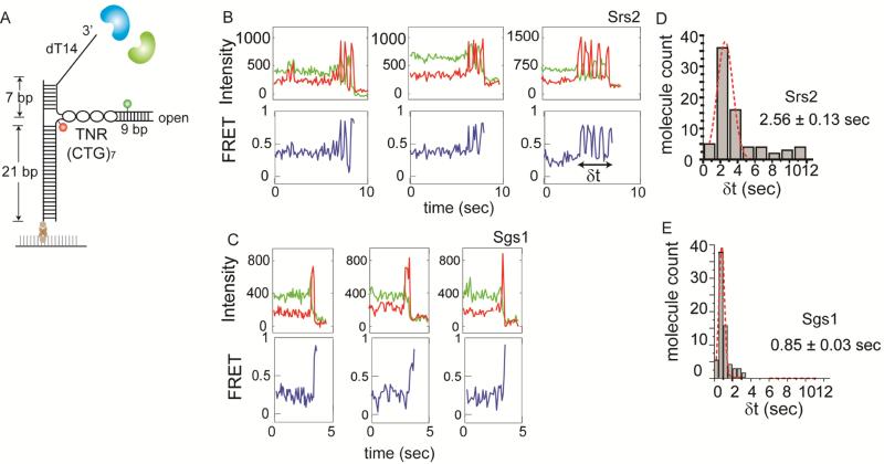 FIGURE 3