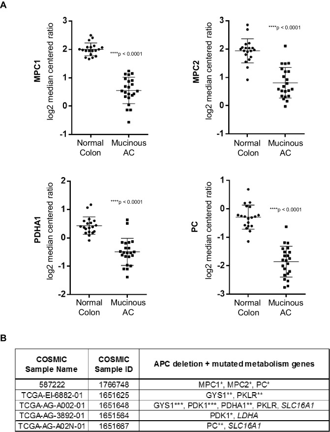 Figure 6—figure supplement 1.