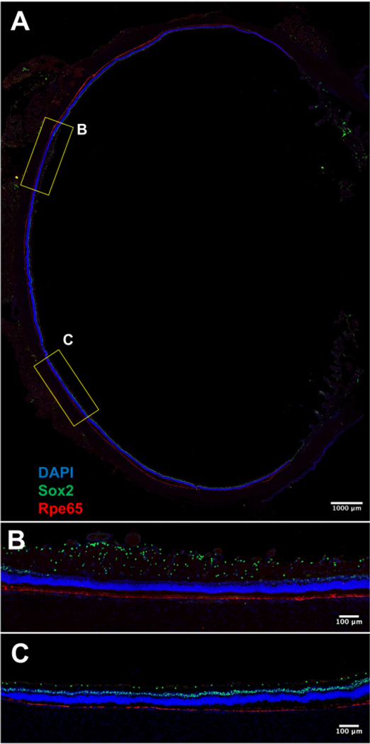 Figure 3: