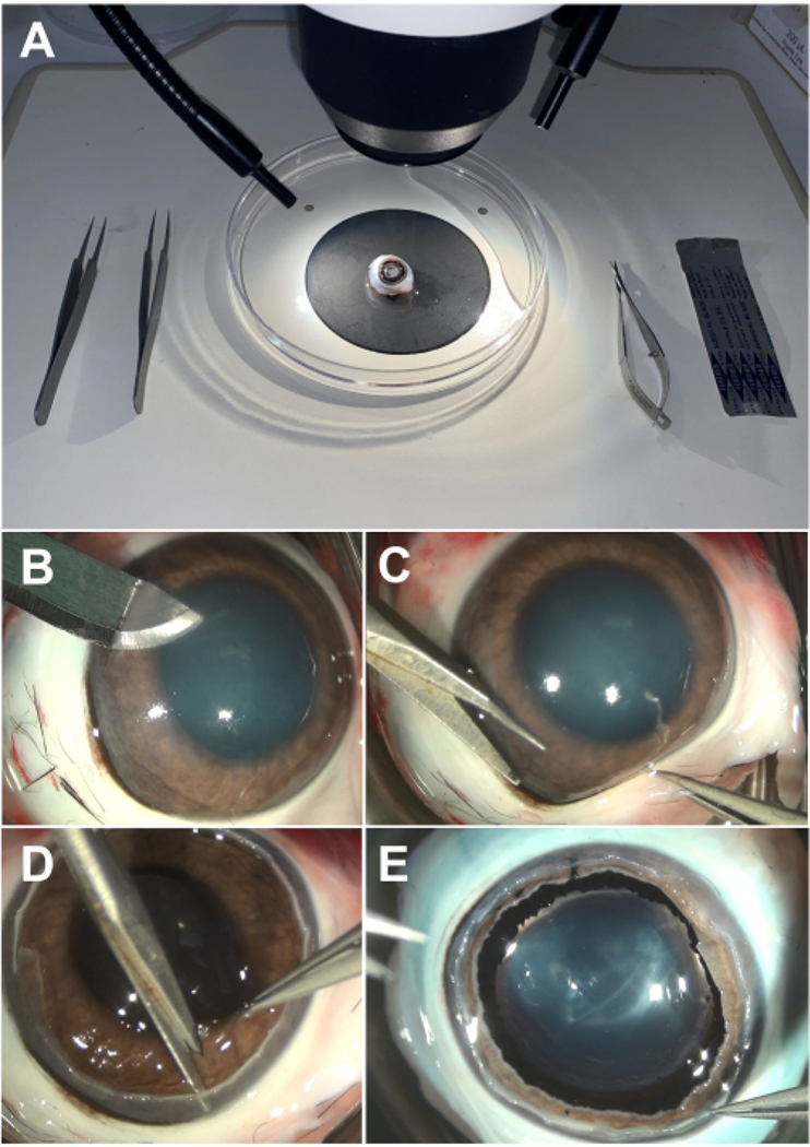 Figure 1: