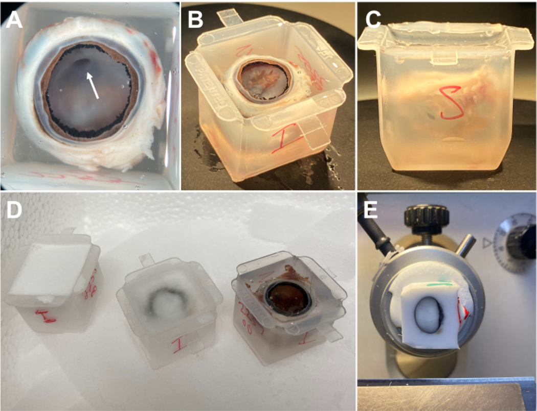 Figure 2: