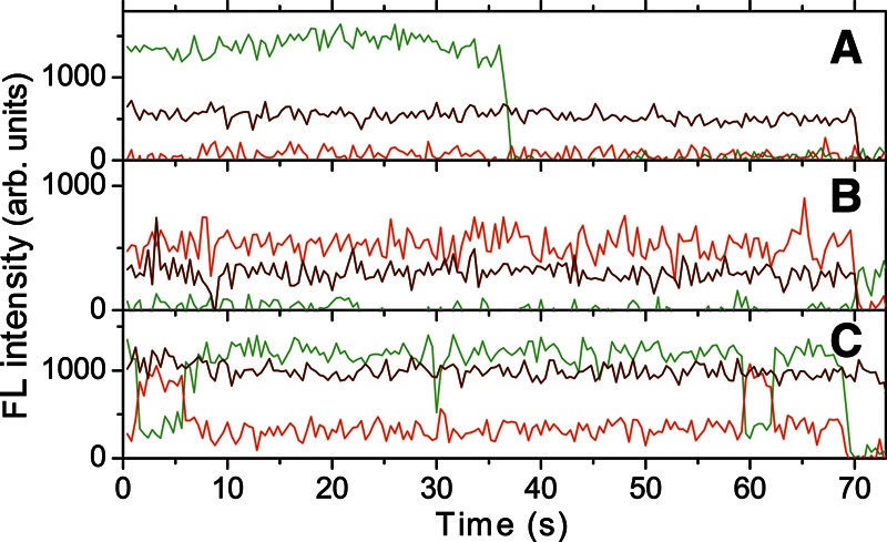 FIGURE 4.