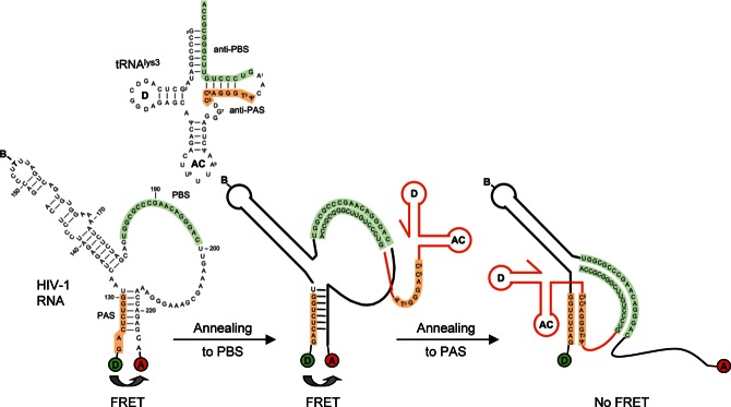 FIGURE 1.