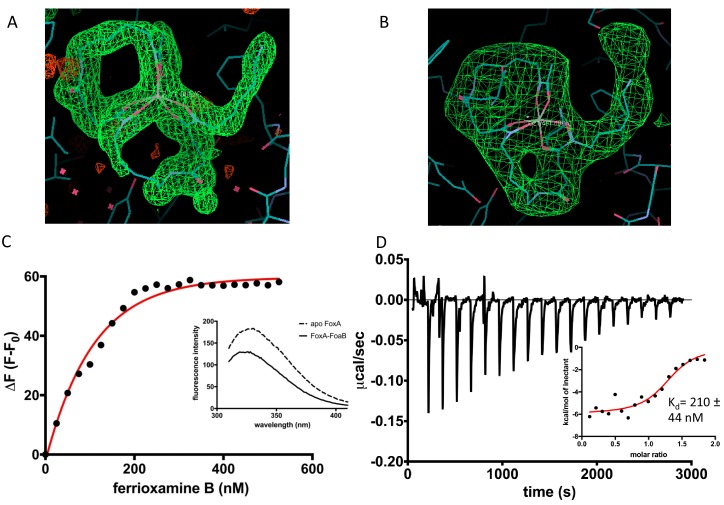 Figure 4—figure supplement 1.