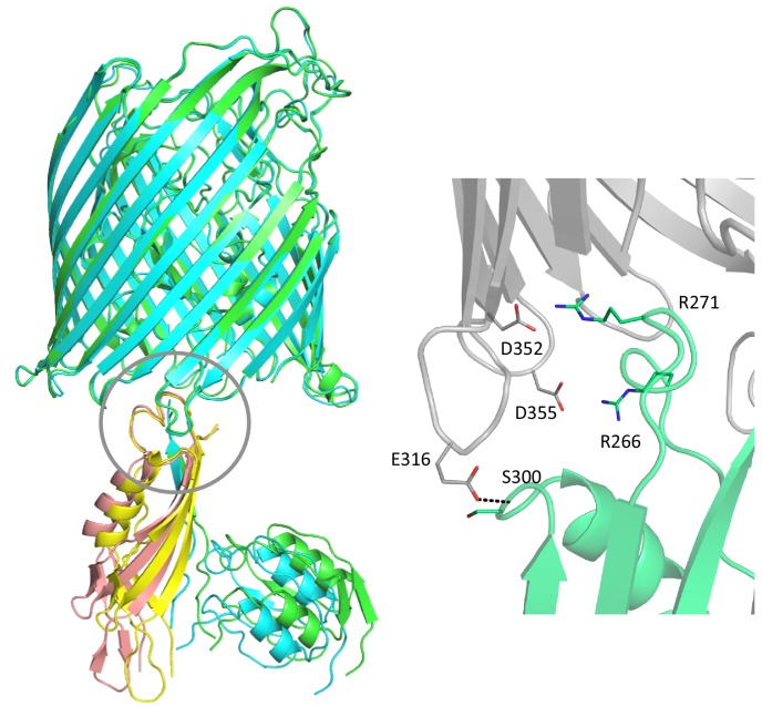 Figure 1—figure supplement 2.