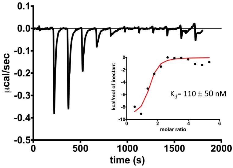 Figure 4—figure supplement 2.