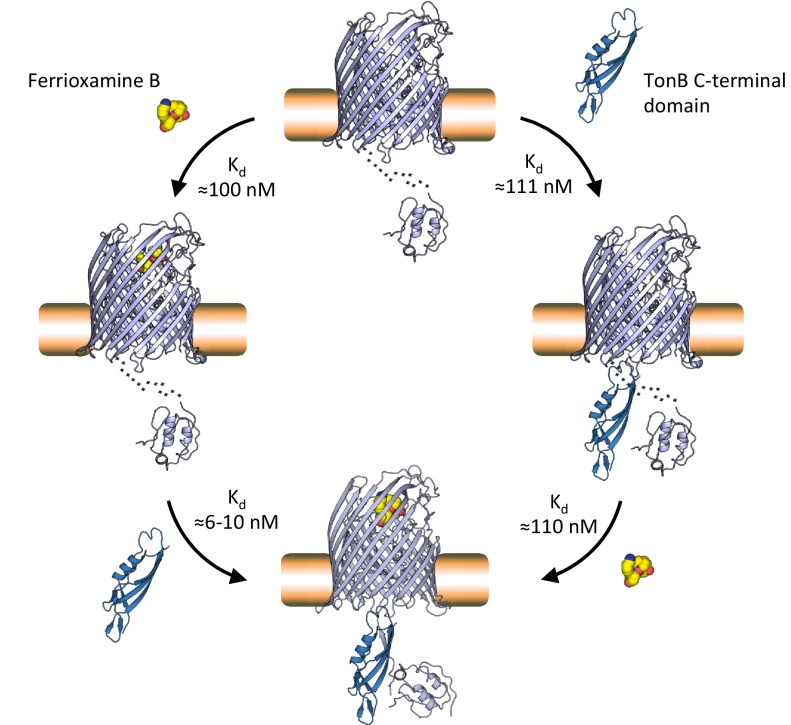 Figure 5.