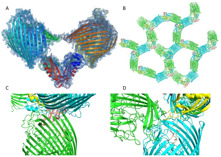 Figure 1—figure supplement 1.