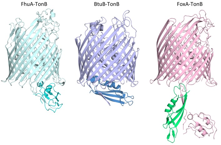 Figure 1—figure supplement 3.