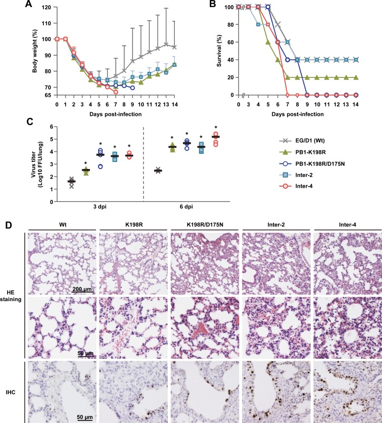 Fig 6