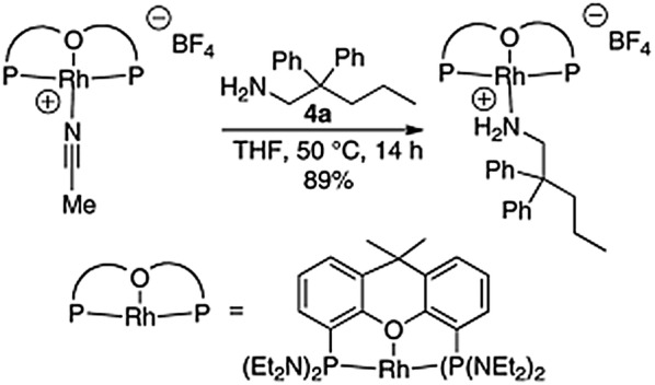 Scheme 3