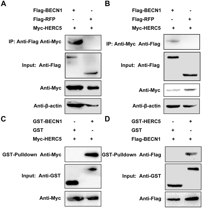 Figure 7